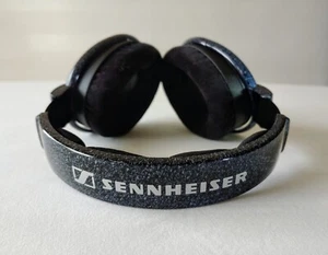 Sennheiser HD 600 + Cardas + Burson Bundle - Picture 1 of 7