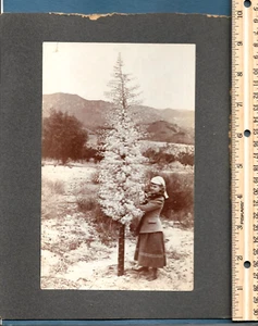 Vint c1900 Matted Photo Girl & Spanish Dagger Yucca Plant Park & Co LA Ca - Picture 1 of 4