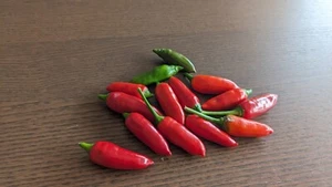 SEEDS- CALABRIAN Pepper Italian Calabrese Spicy Peperoncino piccante - Bild 1 von 6