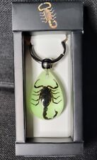 Resin Keychain with Real Bug Specimen Glow in the Dark Key Ring - Black Scorpion