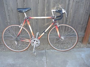 Olmo Vintage Road Bike 58cm CAMPAGNOLO NUOVO RECORD - Picture 1 of 12