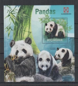 R590. Mozambico - MNH - 2013 - Fauna - Animali selvatici - Panda - Bl - Foto 1 di 1