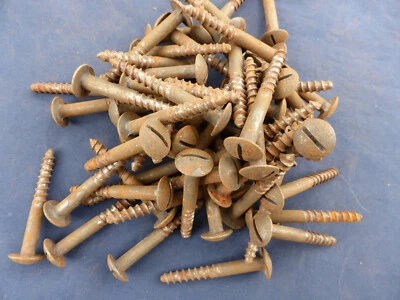 13 vis à bois fer rouille têtes rondes fendu 6/50 ancienne - Photo 1/4