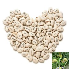 EB_ 20 PCS White Magic Bean Seeds Gift Plant Growing Message Painting Word Fashi