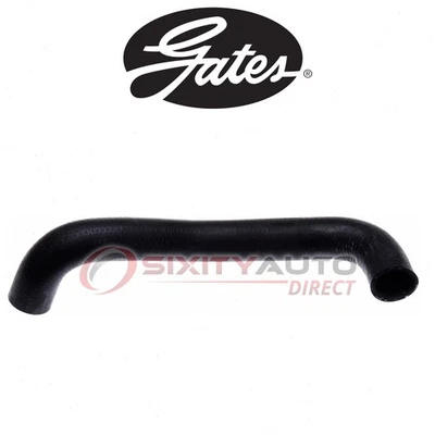 Gates Upper Radiator Coolant Hose for 1995-1997 Ford Ranger 2.3L L4 - sc Foto 1 de 4