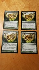 4 Verdant Eidolon - Magic the Gathering MTG Dissension x4 4x Playset