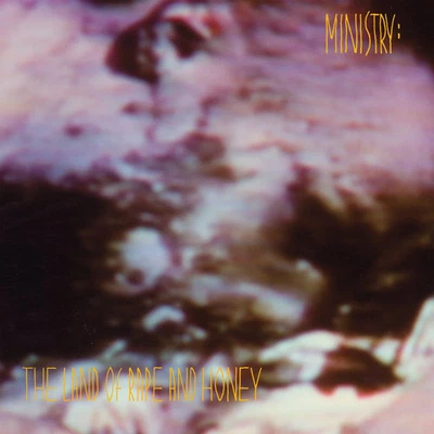 Ministry - The Land Of Rape And Honey (Deluxe Edition) (Rocktober 2024, Indie - Image 1 of 2