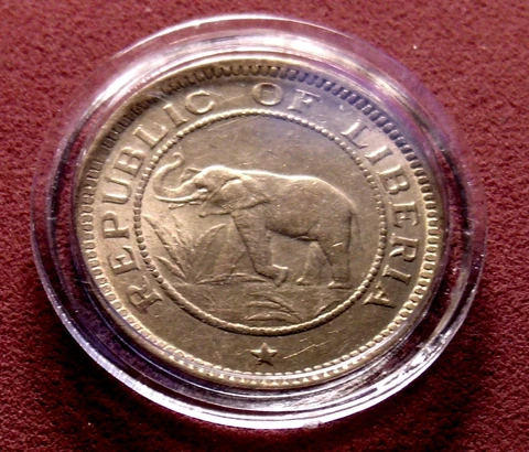 TWO 2 BU 1937 African Elephant Palm Tree 1/2 Cent US Mint 18mm Gem Coins w Holdr Cover