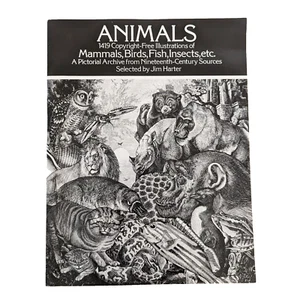 1979 Animals Book Soft Cover Pictorial Archive from 19th Century Illustrations - Imagen 1 de 17