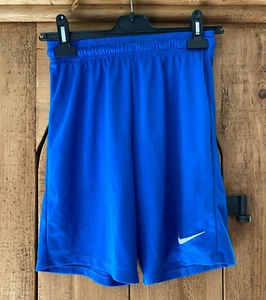 NIKE DRI FIT BLUE SHORTS WITH ELASTICATED WAIST (SIZE S) - Picture 1 of 6