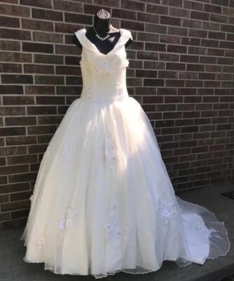 Custom Made Princess Wedding Gown (Ivory) With Train - Image 1 of 4