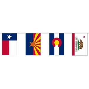 15 Metres 50 Flag (9" x 6") Flags USA US States America American Mixed Bunting - Picture 1 of 1