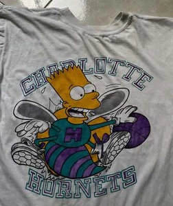 Charlotte Hornets NBA Basketball Simpson 90s Rare T shirt Vtg HN1740 - Picture 1 of 2