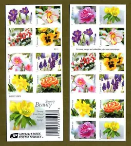 US 2022 Forever Stamps Snowy Beauty Flowers Booklet 20 Stamps Scotts #5736-1545 - Picture 1 of 1