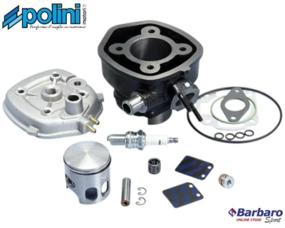 166.0083/R GRUPPO TERMICO POLINI MALAGUTI F 12 50 PHANTOM H2O 50 FIREFOX - Immagine 1 di 3