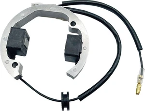 Estator eléctrico Rick's Motorsport KTM 50 2001-2022 21-0093 - Imagen 1 de 2