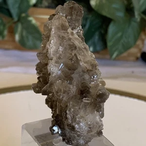 Roh Rauchquarz Cluster Grade A Natural Rauchquarz Kristall Cluster Brasilien 3,5 - Bild 1 von 24