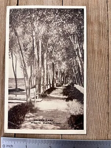 Vintage Lover's Lane Monte Vista Colorado CO Postcard 1910 Divided Back Ditto - Picture 1 of 2
