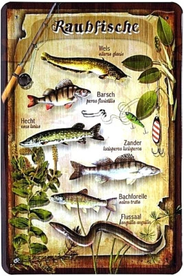Blechschild 20x30 Raubfische Angeln Hecht Zander Wels Barsch Aal Forelle  - Bild 1 von 2