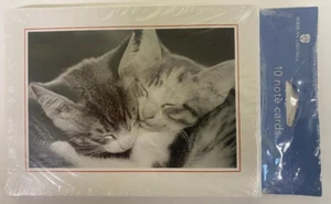 American Greetings All Occasion Cat Note Cards 10 Pack Kitten Blank Inside - Picture 1 of 2