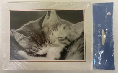 Paquete de 10 tarjetas de notas de gato American Greetings para todas las ocasiones gatito en blanco por dentro Foto 1 de 2