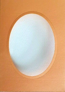 Doppelkarte Einlegeblatt Passpartoutkarte mandarin Oval leichte Struktur Neu - Bild 1 von 2