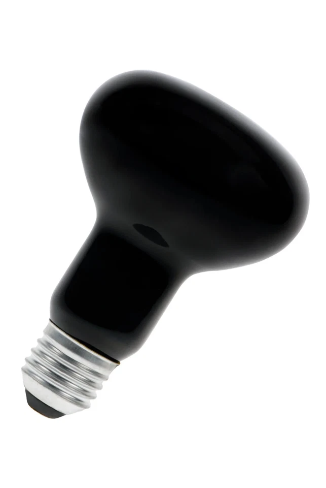 Lamp Lighting Reflector Lamp R80 Black Light blue blacklight neon E27 75W - Image 1 of 1