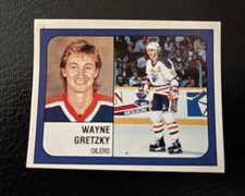 Wayne Gretzky Panini 1988-89 Hockey sticker. #58  Edmonton Oilers