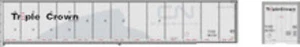 Bowser H.O. Scala 42973 53 piedi DuraPlate RoadRailer RTR Triple Crown Norfolk Sout - Foto 1 di 1