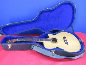 Rogue AE-100 Acoustic Guitar w/ EQ-505 Amplifier Module Hard Case - Picture 1 of 12