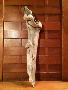 Schönes 17" TREIBHOLZ Stück Kunst Terrarium Taxidermie Aquarium Strand Holz DEKOR - Bild 1 von 12