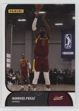 2021-22 Panini NBA G League Box Set Norvel Pelle #30