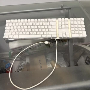 Apple A1048 USB Wired Keyboard White 2 USB Ports 2005 Genuine TESTED - Photo 1/7
