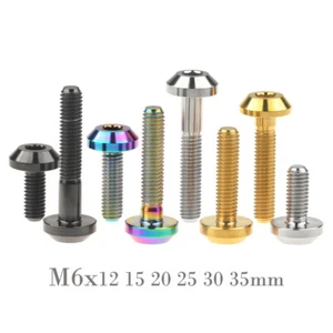 Tornillo de titanio grado 5 M6x12 15 20 25 30 35 mm Ti tornillo para freno de bicicleta - Imagen 1 de 10