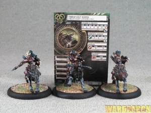 50mm Hordes WDS painted Circle Orboros Tharn Wolf Riders Unit c89 - Picture 1 of 9