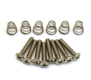 NEW Pickup Mounting Screws & Springs For Vintage Pickguards - STAINLESS STEEL - Picture 1 of 1