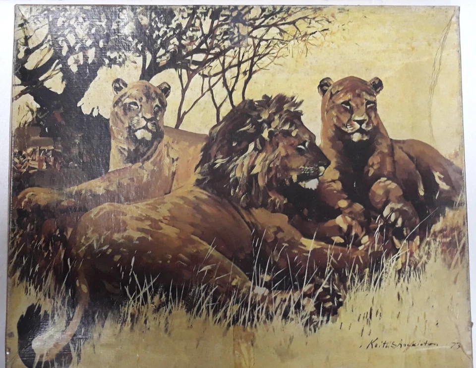 Puzzle WADDINGTONS  LIONS 850 pezzi Animali Selvaggi VINTAGE 71x57 cm - Immagine 1 di 2