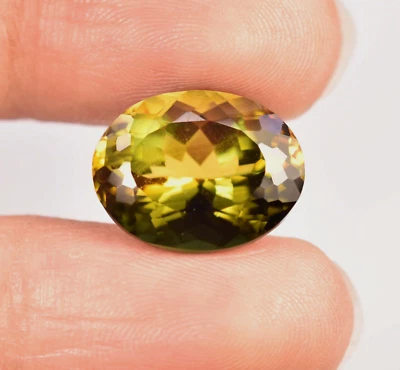 9.25 Ct Natural Brazilian Bi Color Tourmaline Oval Cut Unheated Loose Gemstone - Image 1 of 4