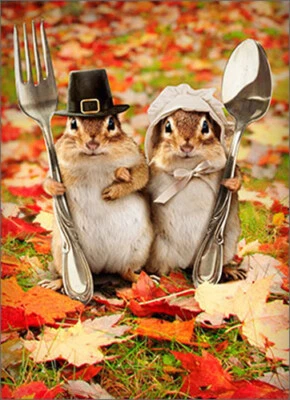 Chipmunk Couple Funny  Humorous Thanksgiving Card - Image 1 of 2