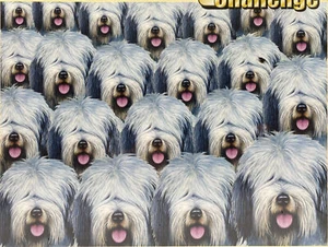 FX Schmid Ultra Challenge 1000pc Puzzle SHEEPISHLY SHAGGY (Dog),NEW sealed 27x20 - Picture 1 of 4