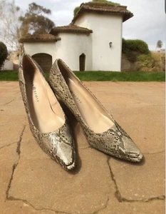 Karen Scott, Frau, Schuhe mittlerer Absatz, braun, Tierdruck Schlange, Gr. 8,5, spitz.! - Bild 1 von 13