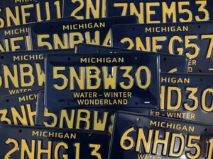 BRANDNEU 2020 Michigan Water Winter Wonderland Retro authentisches Nummernschild - Bild 1 von 1