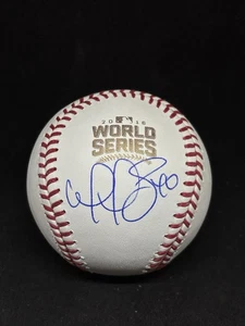 CHICAGO CUBS WILSON CONTRERAS SIGNED BASEBALL JSA CO 2016 WORLD SERIES AUTHENTIC - Picture 1 of 2