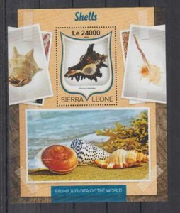 D647. Sierra Leone - MNH - 2016 - Animals - Marine Life - Seashells - Bl - Bild 1 von 1