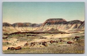 Longest Log in Third Forest Petrified Forest Arizona Linen Postcard - Picture 1 of 2