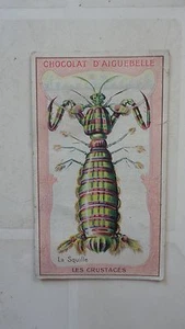 IMAGE PUBLICITAIRE CHOCOLATERIE AIGUEBELLE DROME LA SQUILLE - Picture 1 of 2
