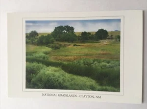 National Grasslands Clayton New Mexico Vintage Postkarte - Bild 1 von 2