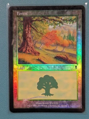 Forest (349) Odyssey Foil MTG - LP - Image 1 of 4