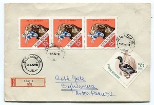 Romania 1967 attractive franking,3X hunting dog+wild duck on Registered cover - Picture 1 of 2