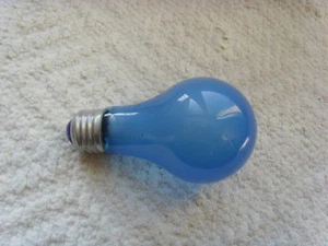 BLUE Vintage Photo Flood Light Bulb Lamp 120V 60W - Free Shipping - Picture 1 of 6
